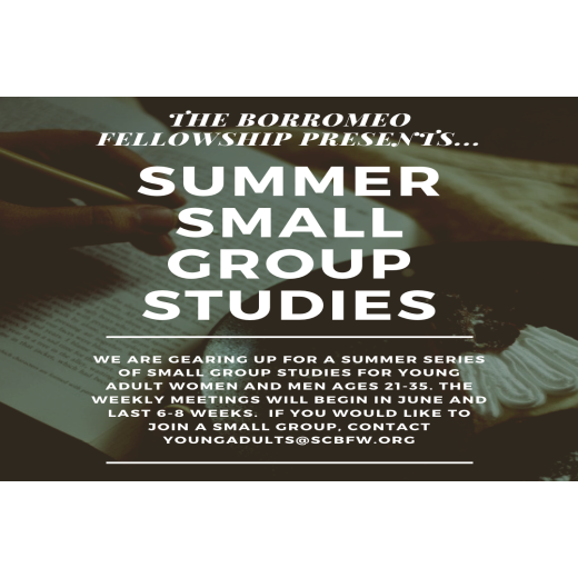 Young Adult Ministry Summer Bible Studies