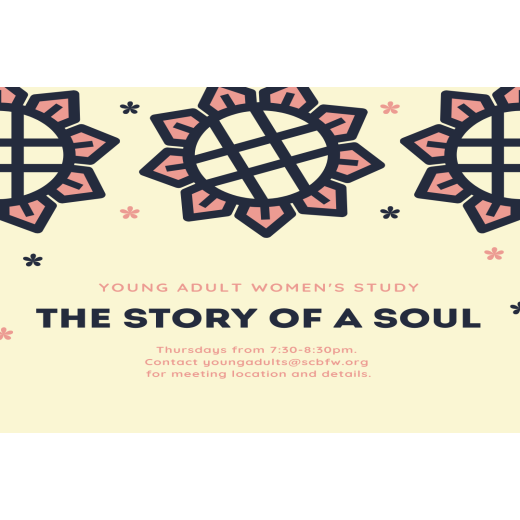 Young Adult Women's Study